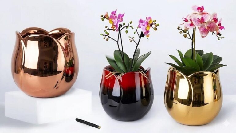 Questo semplice gesto trasforma il cemento in un elegante vaso di fiori…