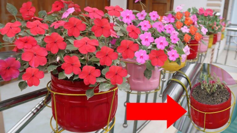 Questo semplice gesto trasforma il tuo balcone in un giardino fiorito da sogno…