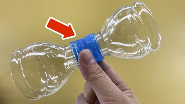 Alcuni giardinieri usano bottiglie di plastica per trasformare il loro giardino…
