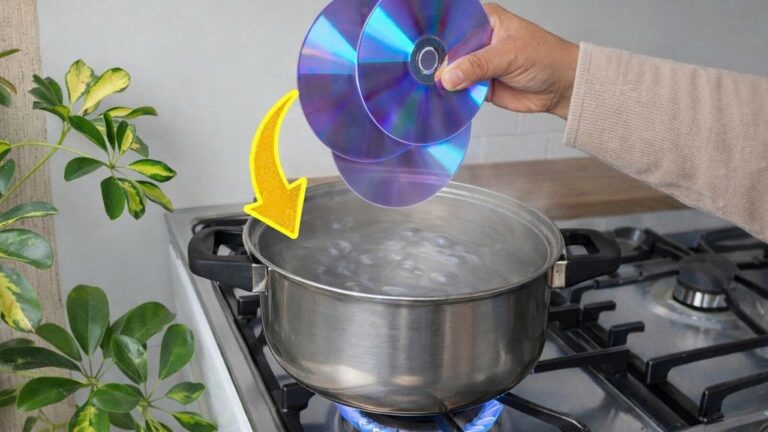 5 idee geniali per trasformare CD vecchi in denaro! Scopri come guadagnare!