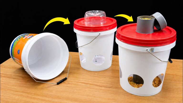 5 Idee ingegnose per riutilizzare le bottiglie di plastica che devi scoprire!