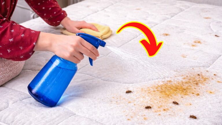 5 Semplici Passi per Pulire il Materasso Macchiato in Casa e Rimuovere Odori
