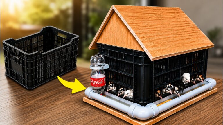 5 idee geniali per riutilizzare scatole e costruire un pollaio fantastico