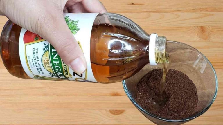 Mescola caffè e aceto: il segreto delle casalinghe italiane per la pulizia