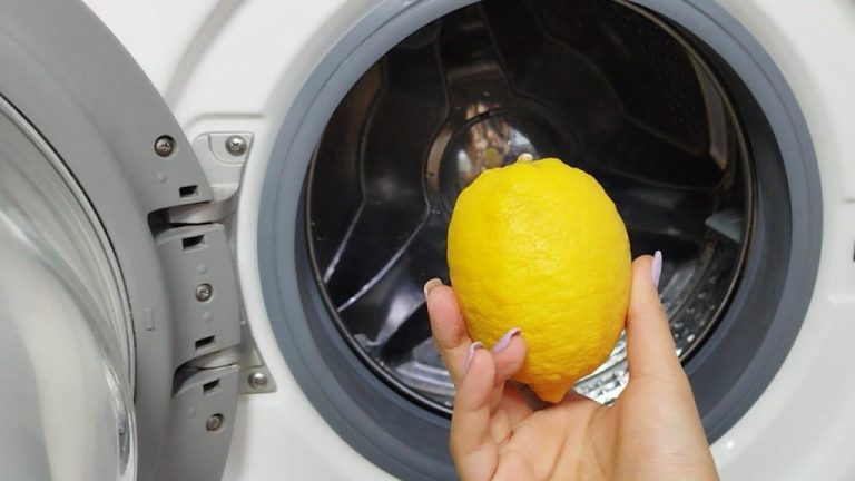 Anche le vecchie lavanderie custodiscono questo segreto: non hanno mai avuto capi come questo