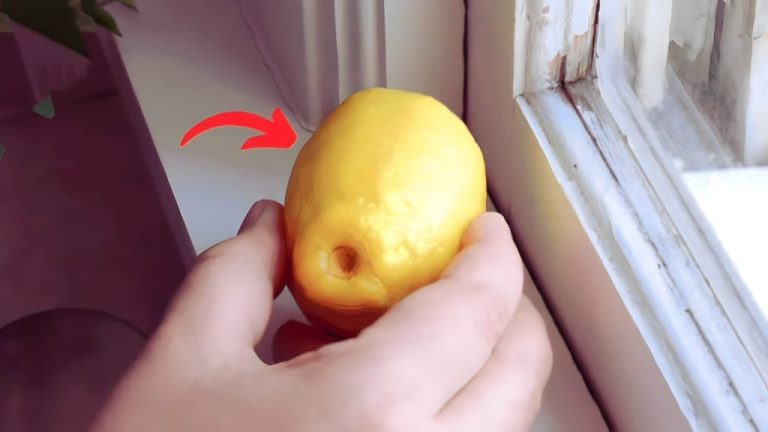 Metti 4 limoni sul davanzale e scopri il segreto per non fermarti mai