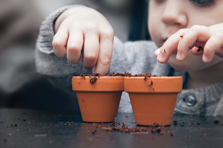 70 Attività di Giardinaggio da Fare con i Bambini Questa Primavera