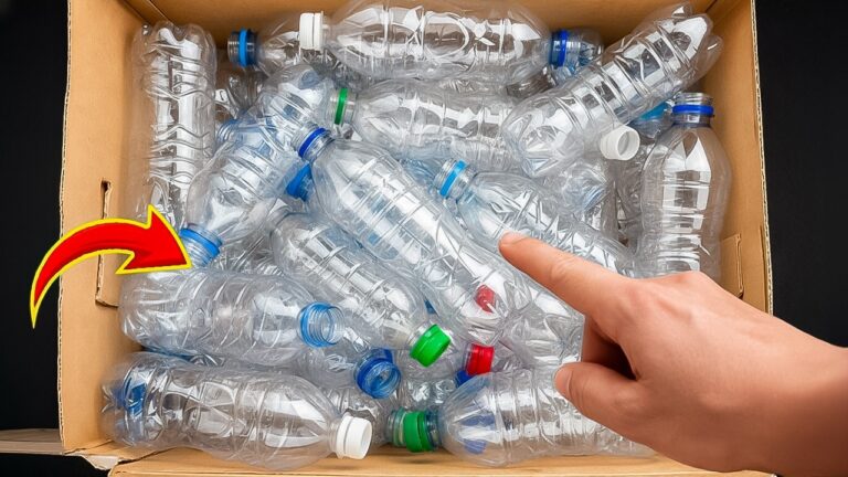 5 Modi Geniali per Riutilizzare Vecchie Bottiglie di Plastica! Scopri come!