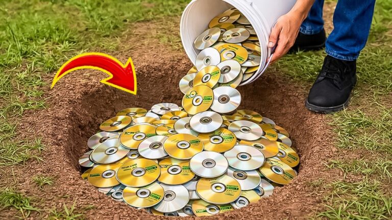 Scopri 5 modi creativi per guadagnare con i vecchi CD disc!