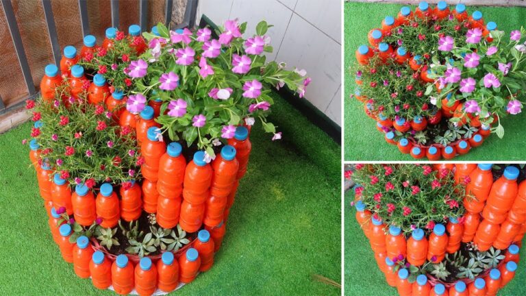 Crea il tuo giardino verticale: 5 idee geniali con bottiglie di plastica!
