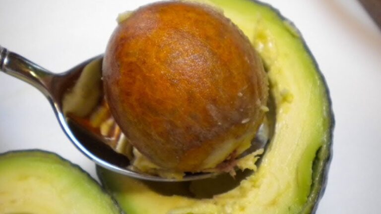 5 idee sorprendenti per riutilizzare i semi di avocado e stupire tutti!