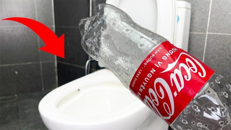 5 tecniche per risolvere facilmente i problemi del tuo WC! Scopri come farlo ora!