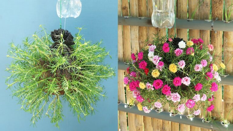 7 idee geniali per l’irrigazione automatica del giardino con bottiglie di plastica