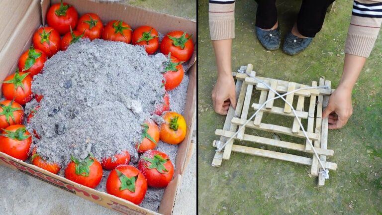 10 strategie per fare giardinaggio a basso costo e risparmiare efficacemente