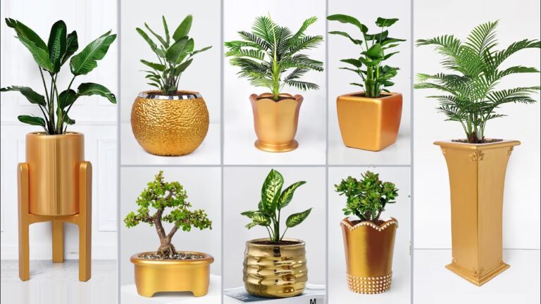 Crea 5 vasi di fiori in cemento facili e sorprendenti per la tua casa!